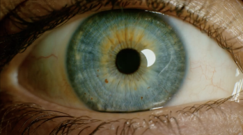 The Nature Positive Initiative demonstrates pathways to a safe and just future