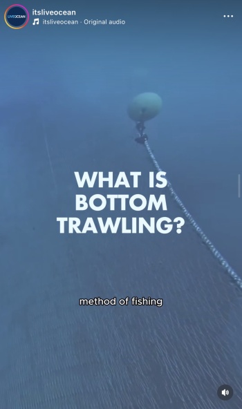 A shared mission to end Bottom Trawling 1