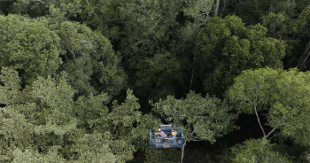 Hot droughts in the Amazon: A window to a future hypertropical climate